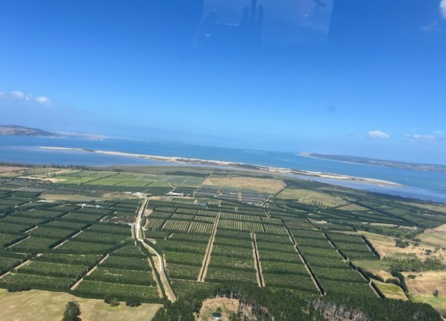 HEA Orchard Drone